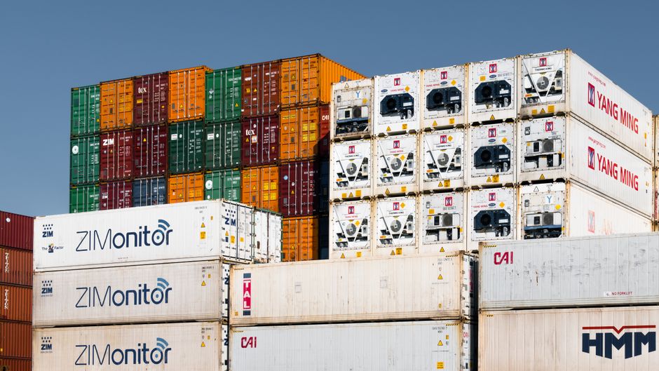 Customs and dangerous goods documentation inspection at port
